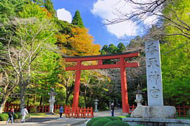 近くで見ると、とても綺麗